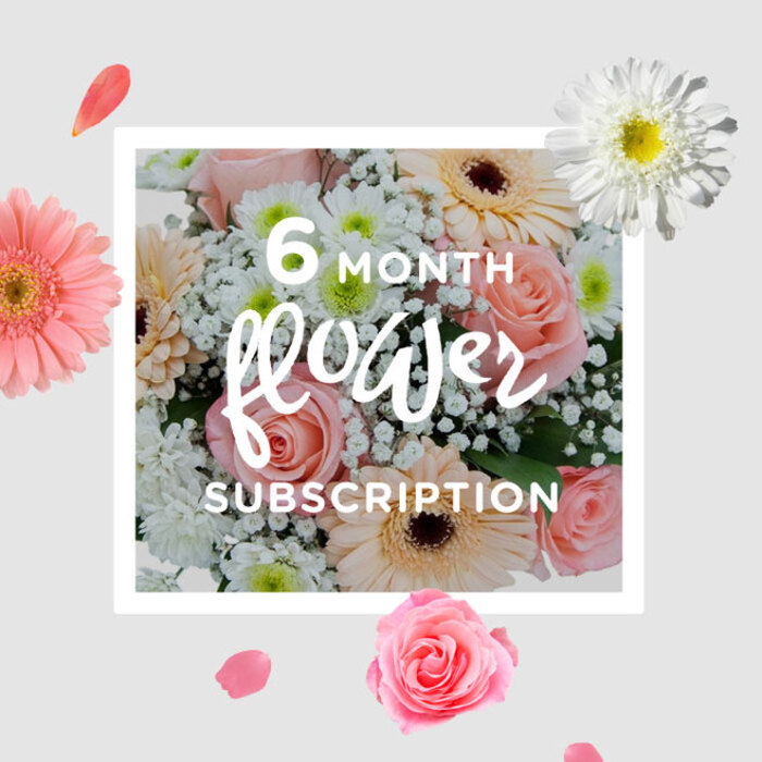 In this image, the bouquet seems to glow with its own inner daylight, as if it has captured the softness of a calm morning over Millwall's riverside. At its core, pastel pink roses unfold gracefully, their petals layered like delicate silk, creating a refined focal point that feels both affectionate and composed. Encircling them, pale peach and blush-toned gerbera daisies open wide, their smooth, satiny petals radiating from darkened centres that add subtle depth and contrast. Their broader shapes frame the roses beautifully, giving the arrangement a sense of structure without losing its airy quality. Interlaced among these are clouds of white gypsophila, each stem branching into sprays of tiny, cloud-white flowers that hover like mist, softening the lines and adding a romantic haze. White chrysanthemums introduce another layer of interest: rounded blooms with dense, precise petals that offer a crisp, fresh counterpoint to the looser textures. Flecks of green foliage and sturdy stems peek through at the base, hinting at the cool, leafy scent you might notice when a fresh bouquet is unwrapped in a Millwall flat overlooking the Thames. The colour palette-blush pinks, creamy peaches, pure whites, and gentle greens-creates an atmosphere of optimism and serene joy, ideal for marking small milestones or simply brightening a quiet evening at home. The bouquet feels like a perfect companion to a monthly flower subscription in Millwall, each new delivery echoing this balance of roses, gerberas, gypsophila, and chrysanthemums, crafted with the confident touch of experienced local florists who understand how flowers can quietly transform familiar rooms into spaces of comfort and celebration.